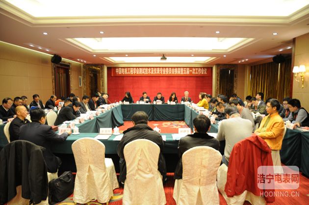 中國電機(jī)工程學(xué)會測試技術(shù)及儀表專業(yè)委員會換屆暨五屆一次工作會議在長沙順利召開