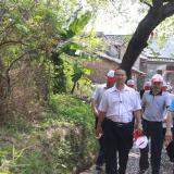 放飛心情，相約蘇家圍