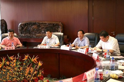 安慶市市長魏曉明等領(lǐng)導蒞臨林洋指導